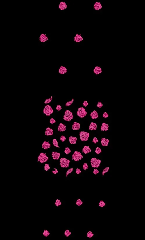 Rose6