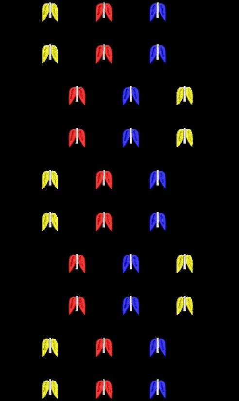 WLT-0619